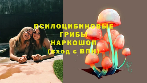 apvp Баксан