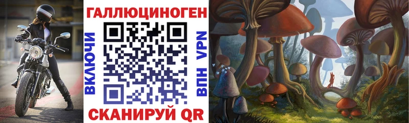 хочу Саяногорск Псилоцибиновые грибы прущие грибы