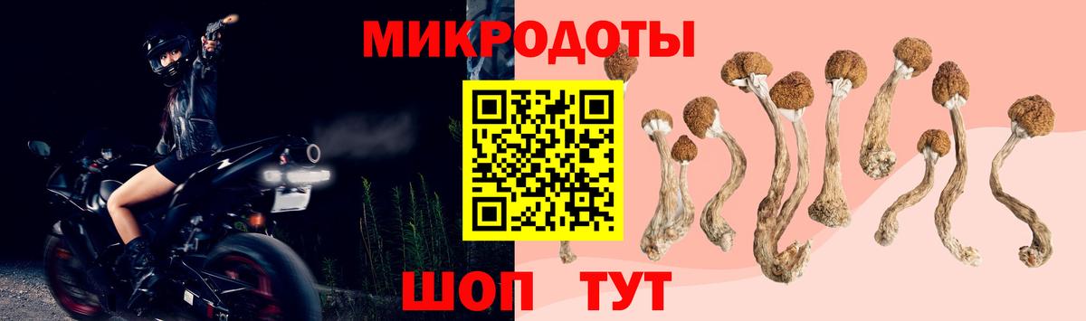 Псилоцибиновые грибы прущие грибы Саяногорск